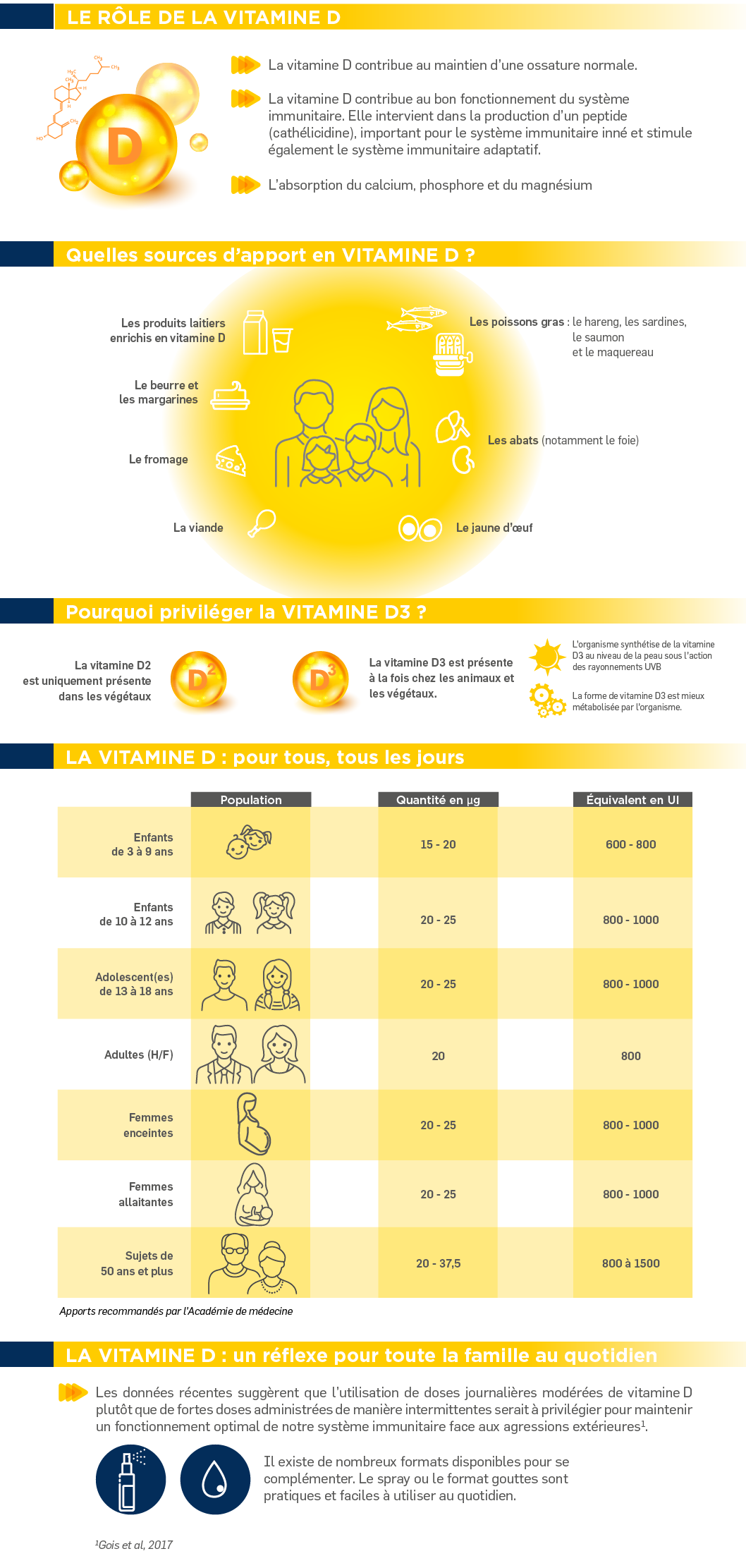 infographie